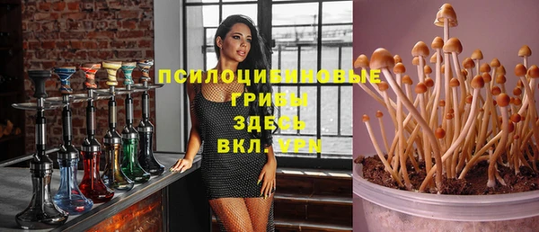 мет Заводоуковск