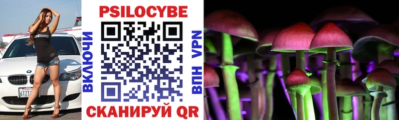Купить закладки  Владикавказ  Псилоцибиновые грибы мицелий 